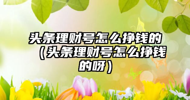 頭條理財(cái)號(hào)怎么掙錢(qián)的（頭條理財(cái)號(hào)怎么掙錢(qián)的呀）