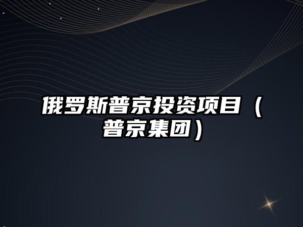 俄羅斯普京投資項(xiàng)目（普京集團(tuán)）